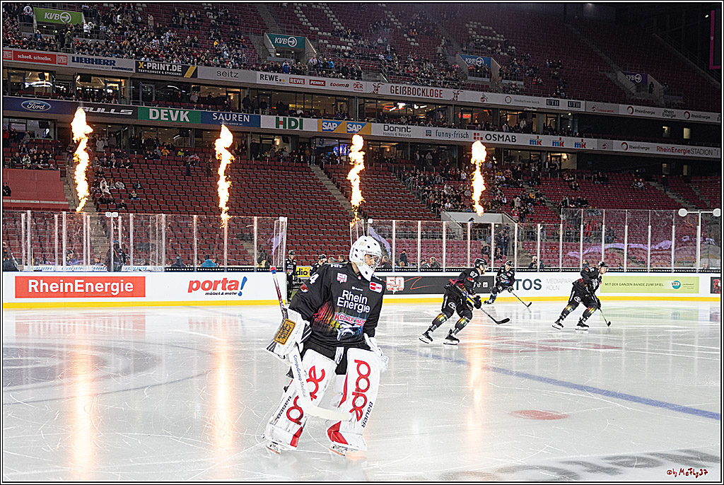 PENNY DEL;  Kölner Haie - Fischtown Pinguins; Köln, 22.12.2022